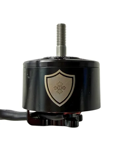 Raptor Power 900 KV Motor